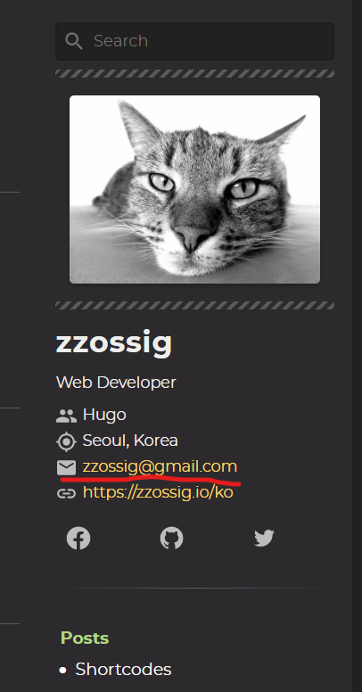 Zzo theme param - email